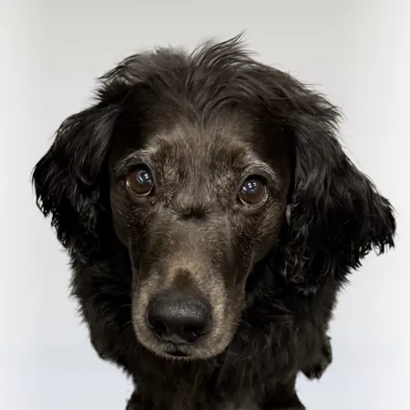 Jack, Feelgood Manager